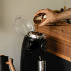 Niche Duo Flat Burr Coffee Grinder