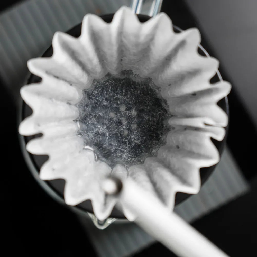 Graycano Coin