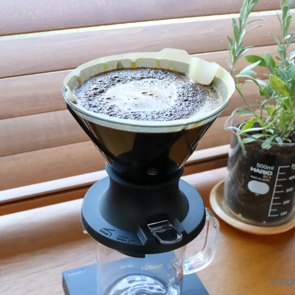 Hario Mugen x Switch Dripper