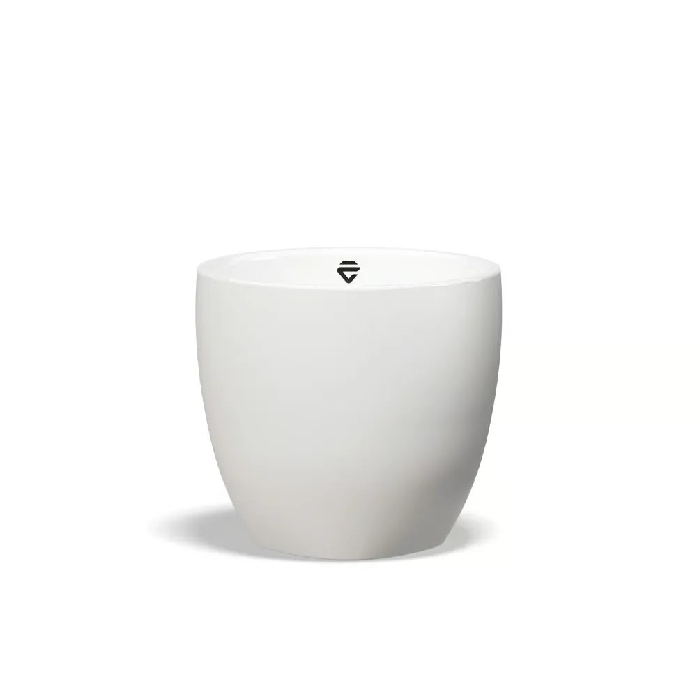 Lelit Cup – Premium Porcelain, Set of Two