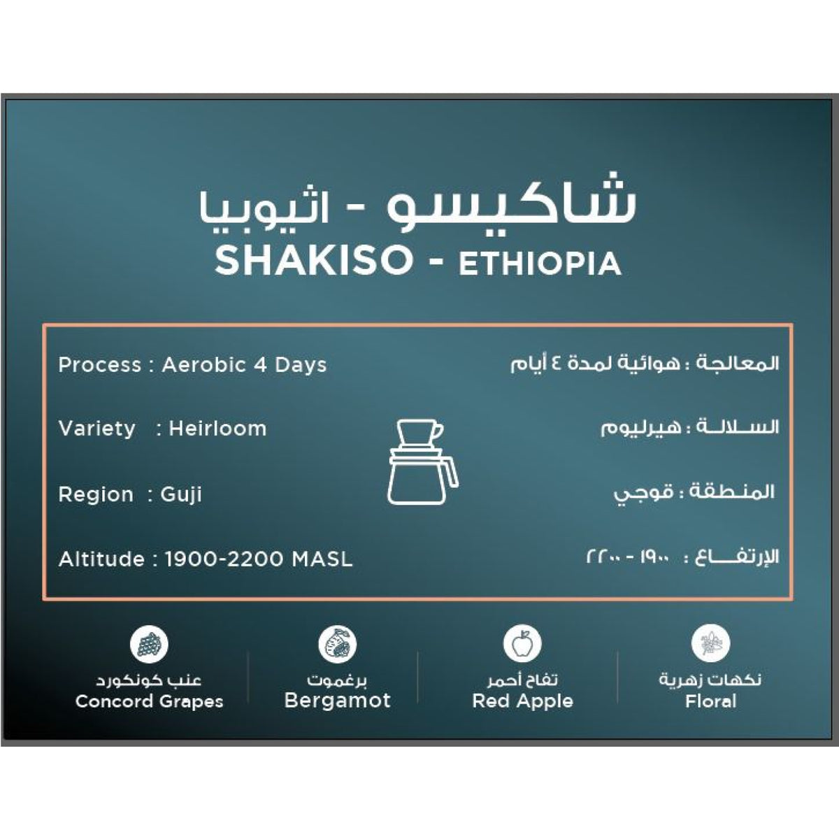 South Roastery Shakiso Ethiopia Filter Coffee