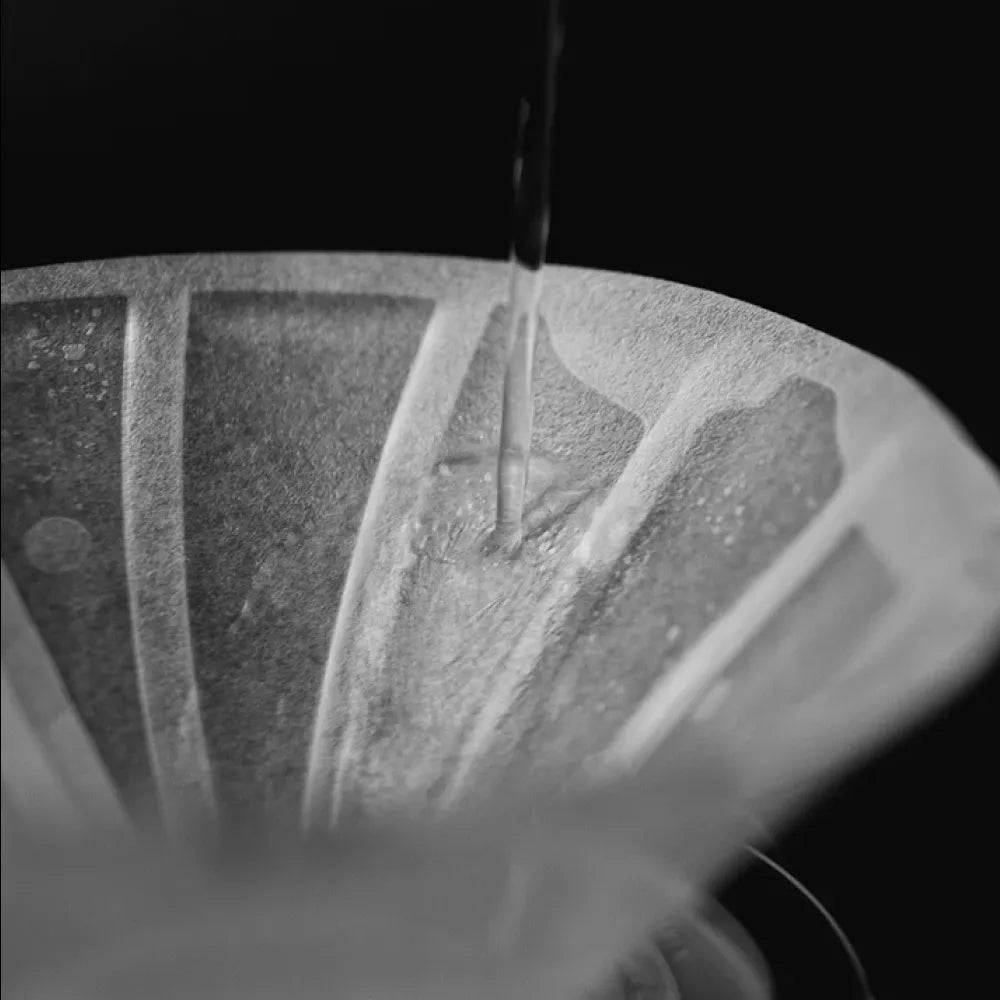 Sibarist Fast UFO Specialty Coffee Paper Filter