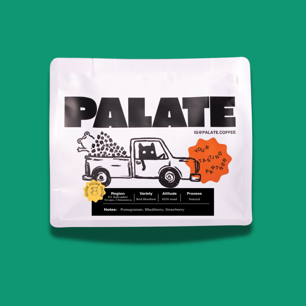 Palate El Salvador Tecapa Chinameca Red Bourbon Natural Filter Coffee