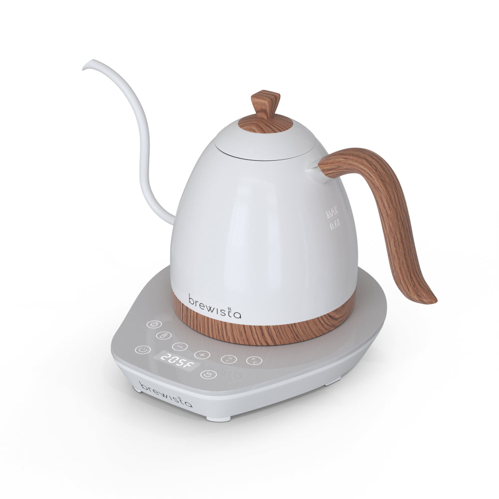 Brewista Artisan Electric Gooseneck Kettle 0.6L